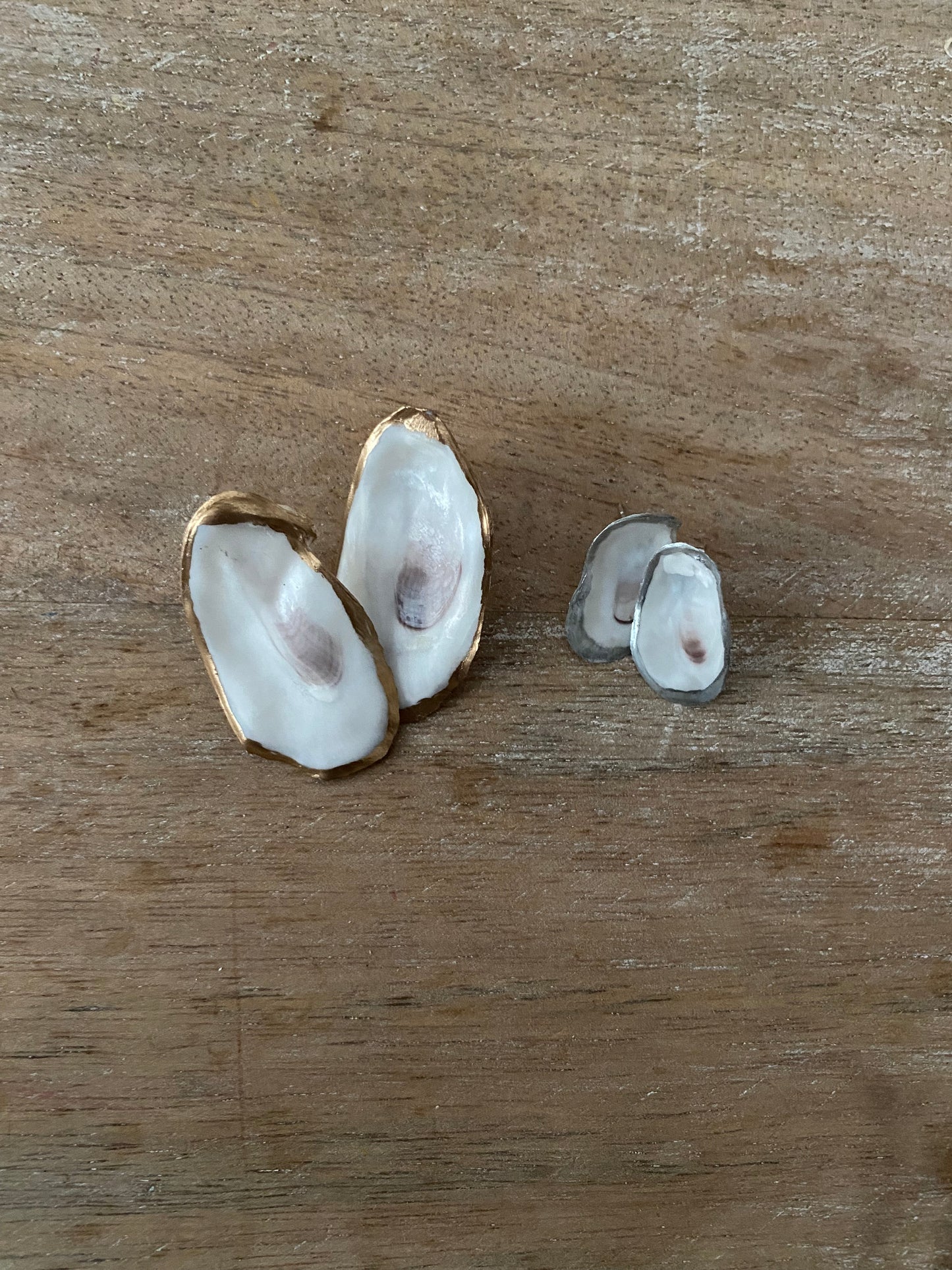 Oyster Shell Stud Earrings