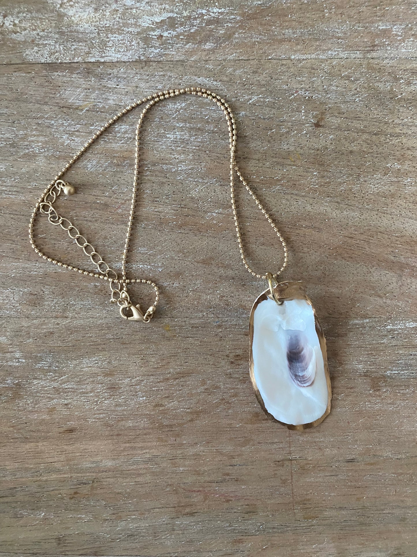 Dainty Gold Oyster Shell Necklace
