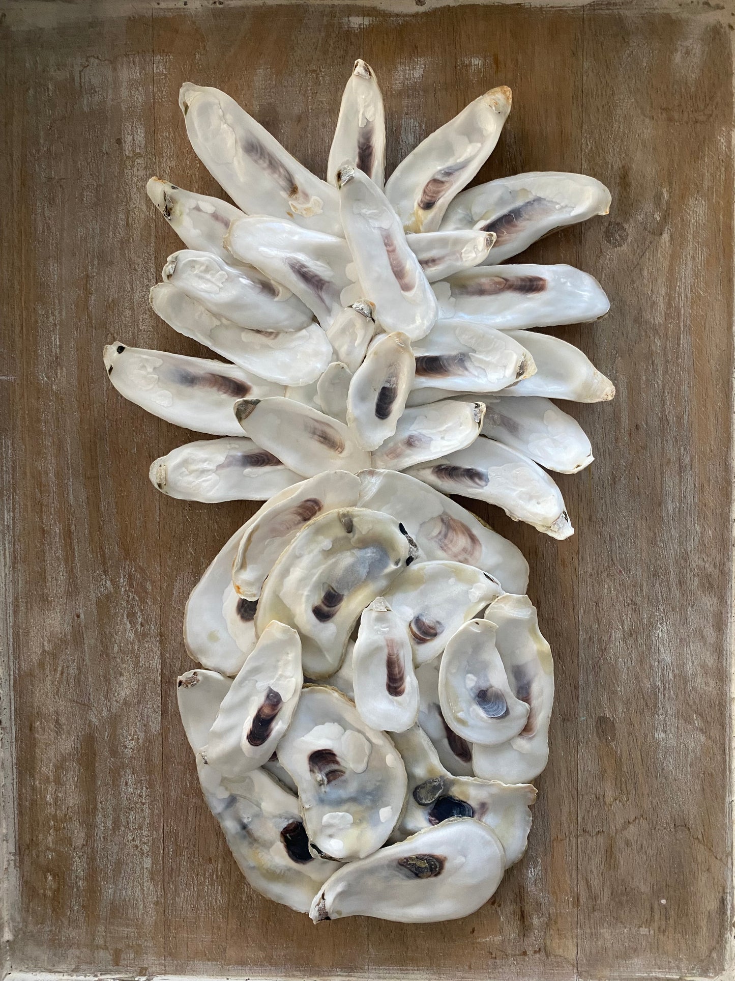 Natural Oyster Shell Pineapple